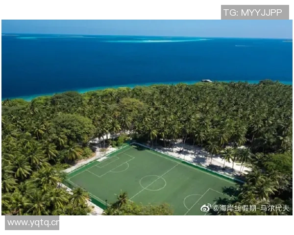 足球传奇施丹经典瞬间回顾与精彩图片分享