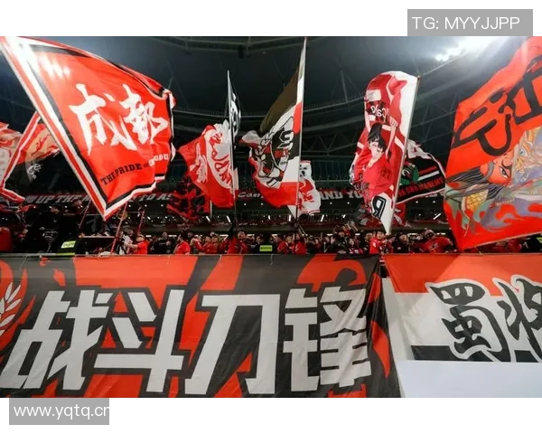 成都足球队实力强劲荣登个人能力排行榜第三名引发热议