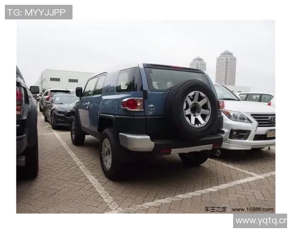 武汉排球队在洲际杯积分榜上以65分稳居第一名展现强劲实力