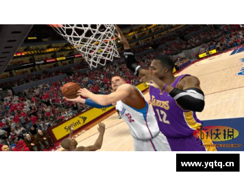 NBA狂热：哪个卫视成为你追逐篮球激情的最佳选择