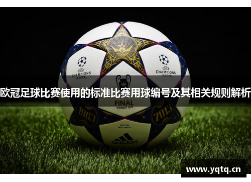 欧冠足球比赛使用的标准比赛用球编号及其相关规则解析