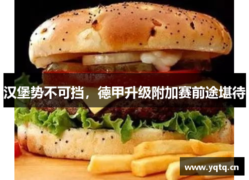 汉堡势不可挡，德甲升级附加赛前途堪待