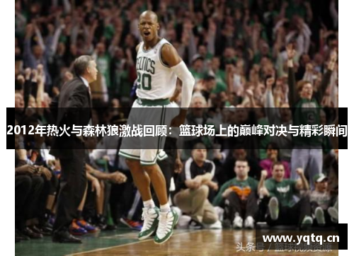2012年热火与森林狼激战回顾：篮球场上的巅峰对决与精彩瞬间